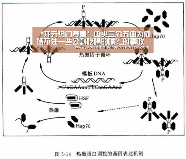 ‘开云热门赛事’中央三令五申为何堵不住一些公款吃喝的嘴?_时事政治_中公教育网(图1) KAIYUN入口