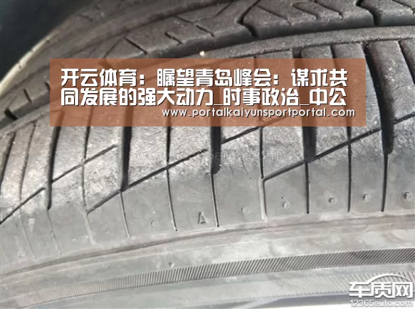 开云体育:瞩望青岛峰会:谋求共同发展的强大动力_时事政治_中公教育网(图2) 开云体育